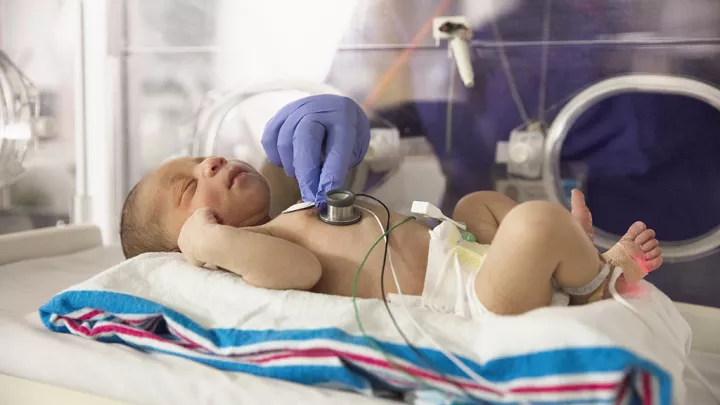 Health care professional places stethoscope on chest of infant that is resting in NICU isolette