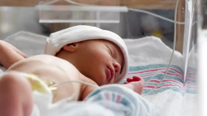 A newborn in a white beanie sleeps in an incubator