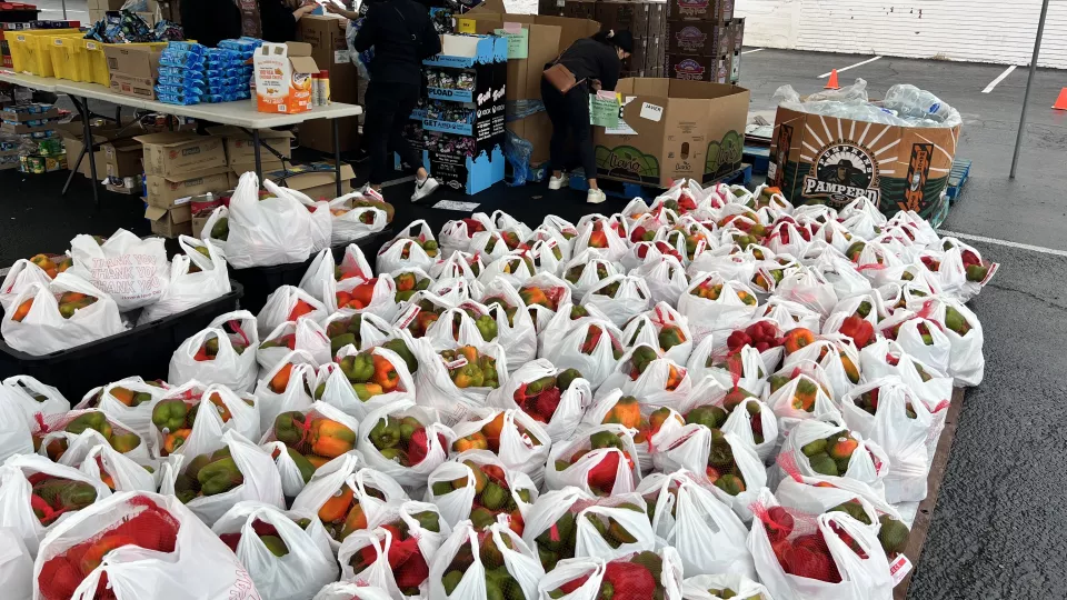 Bags of peppers line a table ready for distribution at the 2022 Manos Que Sobreviven Community Wellness Fair