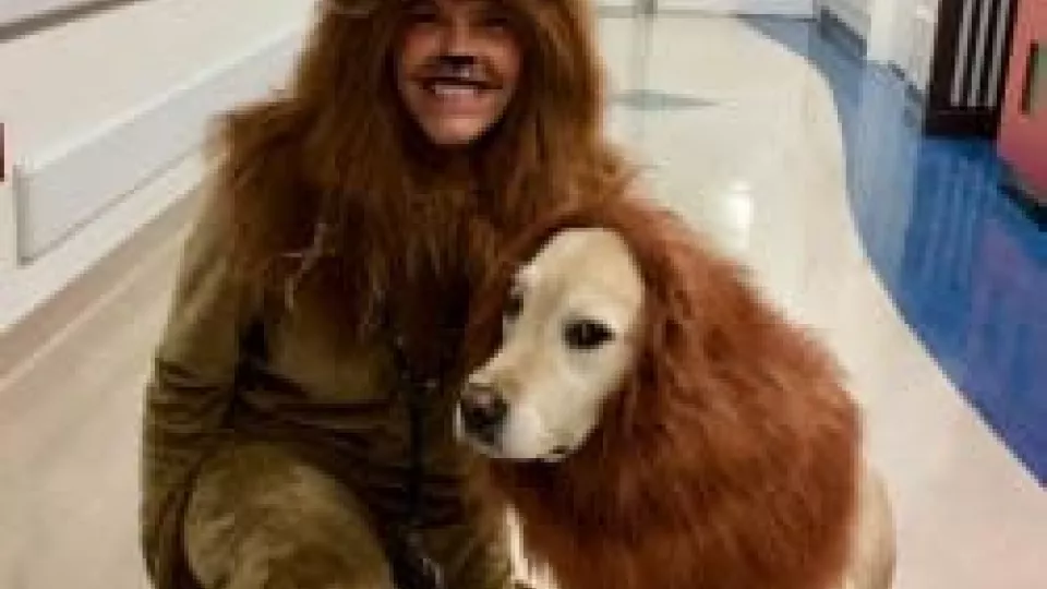 chla-therapy-dog-lion.jpg