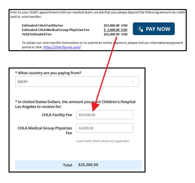 A screen shot of how to make online payments for international patients through the Flywire system. It includes a blue pay now button