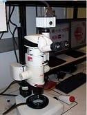 Leica_MZFLIII_Stereo_Microscope 50%.jpg