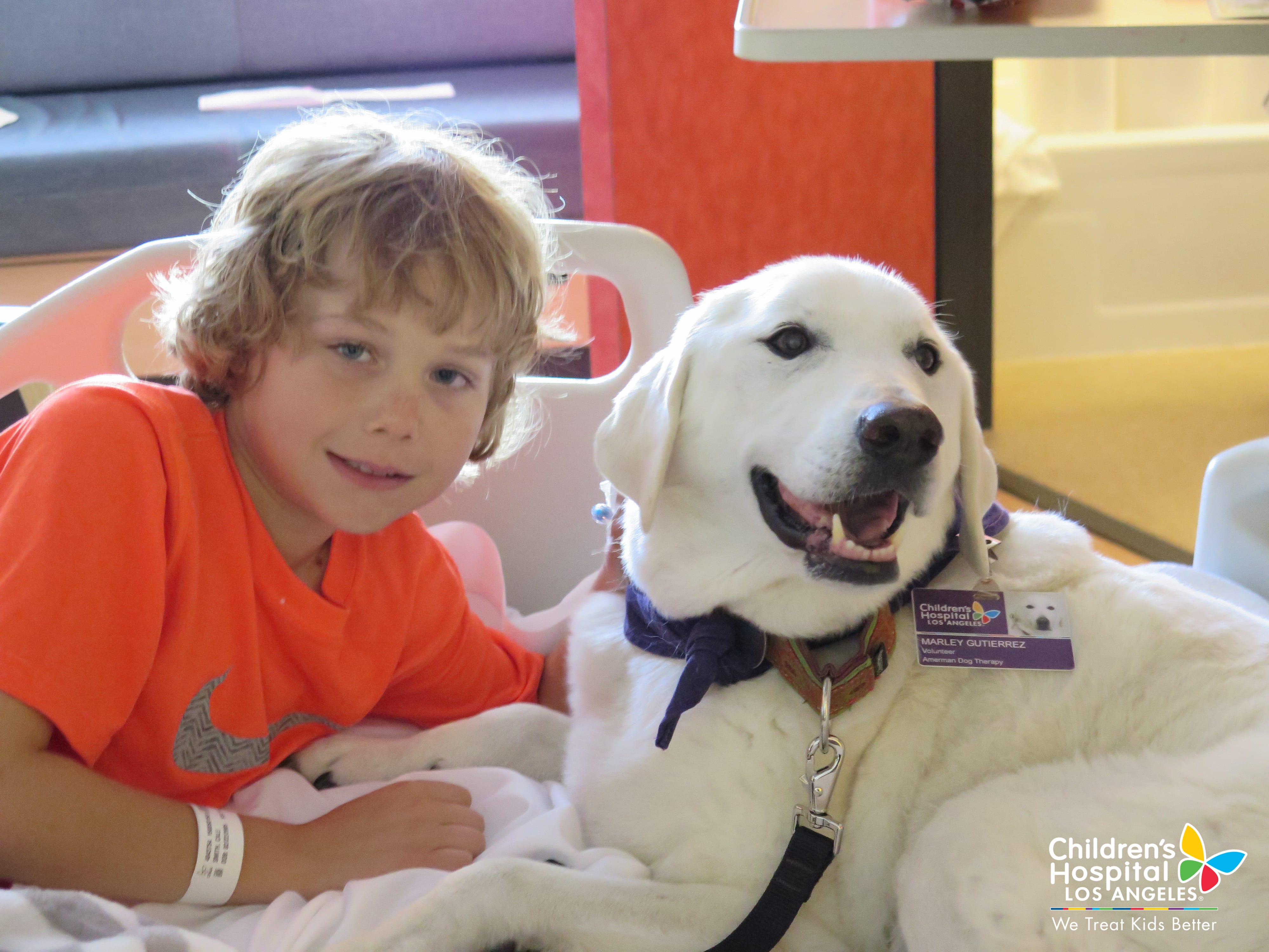Volunteer with the Dog Therapy Program | Children's Hospital Los Angeles