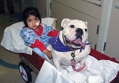 How Dogs Help | Children's Hospital Los Angeles