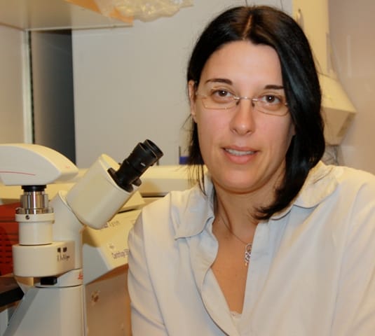 Laura Perin, PhD