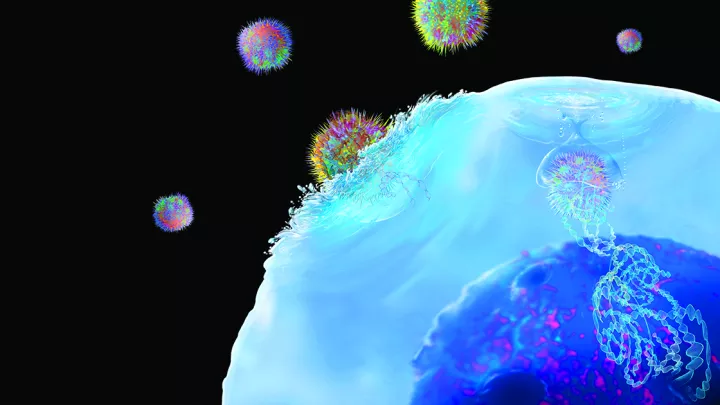 Computer illustration of CAR (chimeric antigen receptor) T cell immunotherapy, a process that is being developed to treat cancer