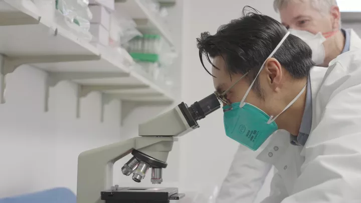 Male researcher with medium skin tone and dark hair wearing a N95 mask and a white lab coat looks into a microscope as an older male researcher with light skin tone and grey hair watches on