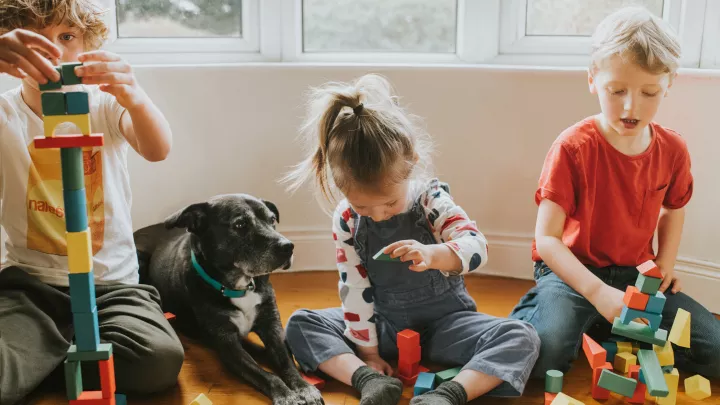 Children building with blocks near each other