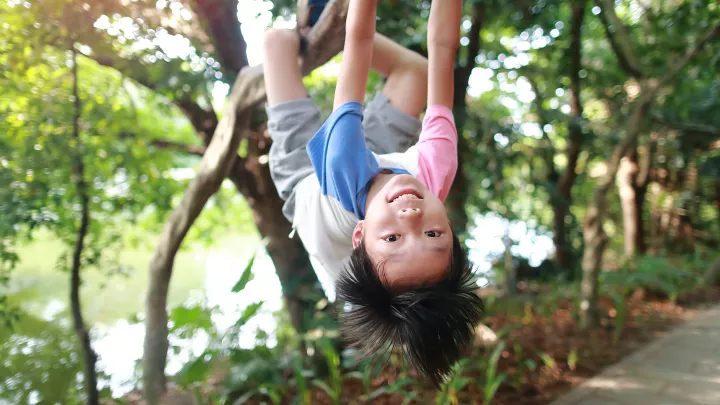 A child with a medium light skin tone hangs upside-down from a tree branch and smiles.