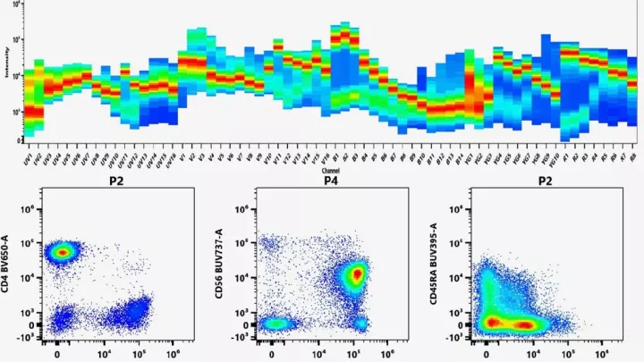 Graph showing flow cytometry test results