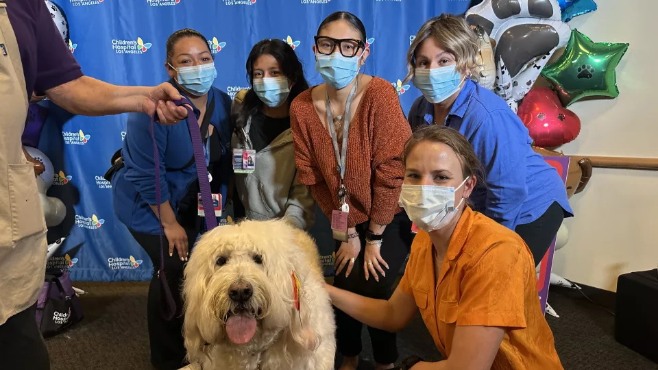 A group of CHLA team members pose with a white poodle at Dog Therapy Appreciation Day.
