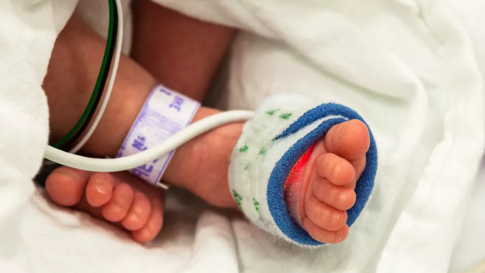 infant foot in toes in blanket with oxygen sensors