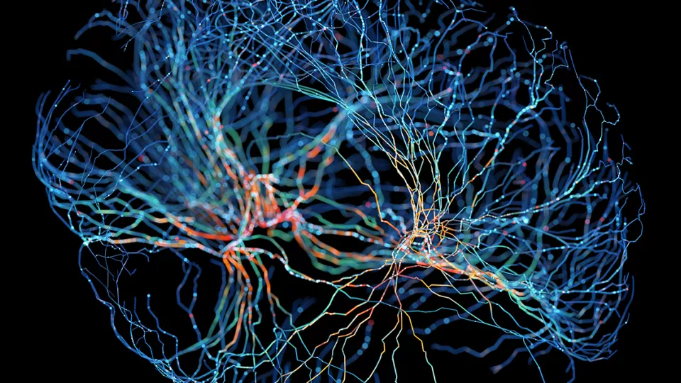 Computer-generated illustration of neurons in the brain with glowing connections on black background