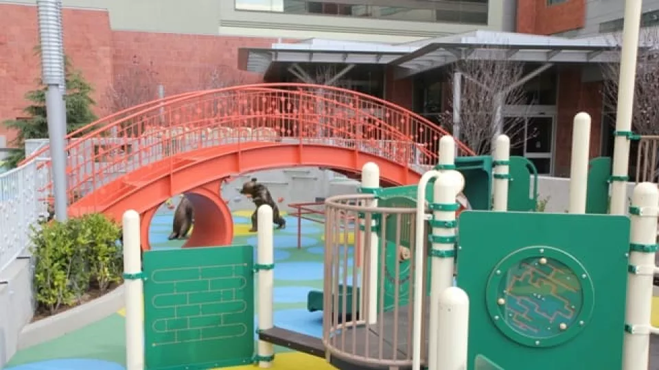 A colorful activity area with an orange walking bridge and accessible play spaces