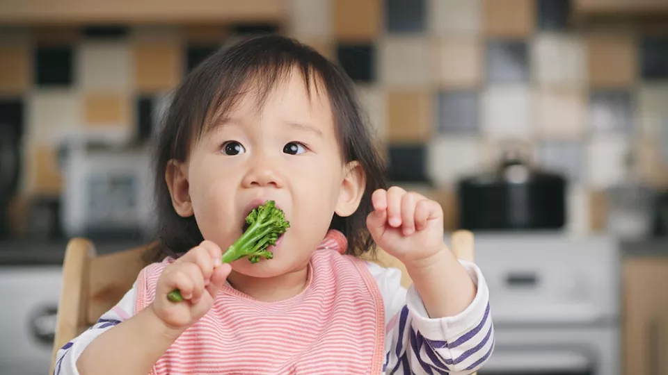 New study says that it's safe to skip the spoon and let babies