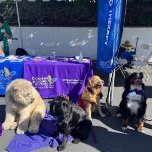 Four large dogs sit on pavement in front of a banner that says Dog Therapy and Children’s Hospital Los Angeles.