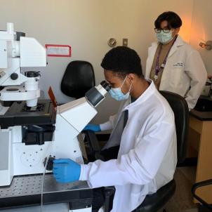 Male researcher with dark skin tone and hair wearing white lab coat, surgical mask and latex gloves uses a microscope as another researcher looks on in the background