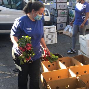Volunteer packs produce boxes to share with community