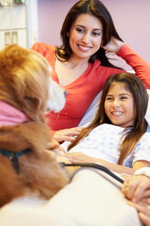 Therapy dog visits smiling young girl in hospital bed watched by her mother and grandmother