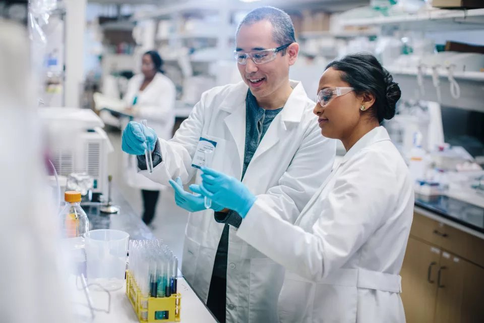 A medium skin toned man and a medium-dark skin toned woman, both in lab coats and protective glasses, examine test tubes in a laboratory.