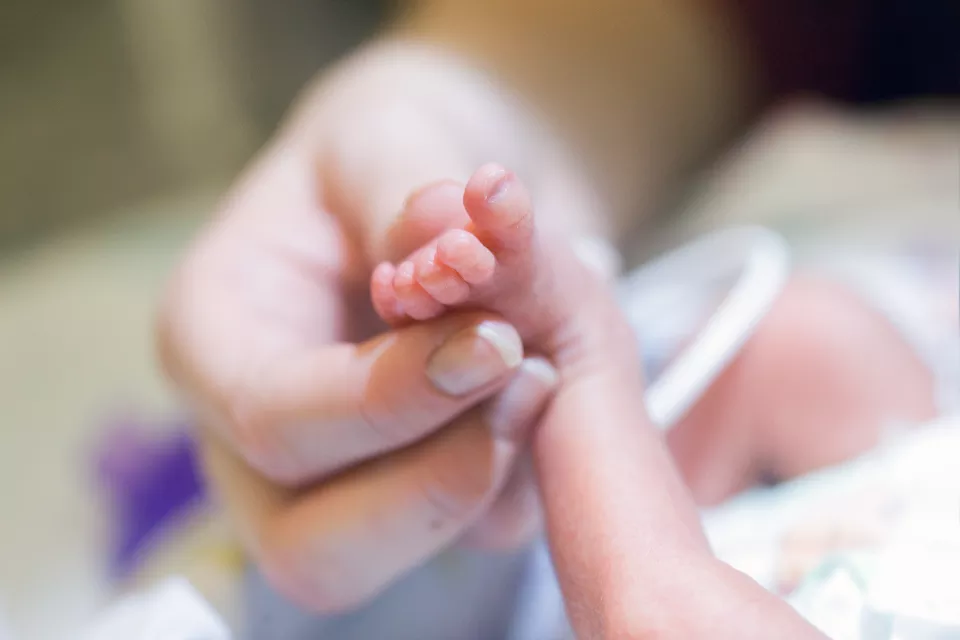 A close-up of an adult's hand holding a tiny baby foot.