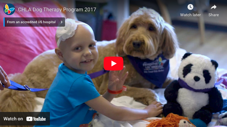 Screengrab of YouTube video player displaying CHLA's Dog Therapy Program video