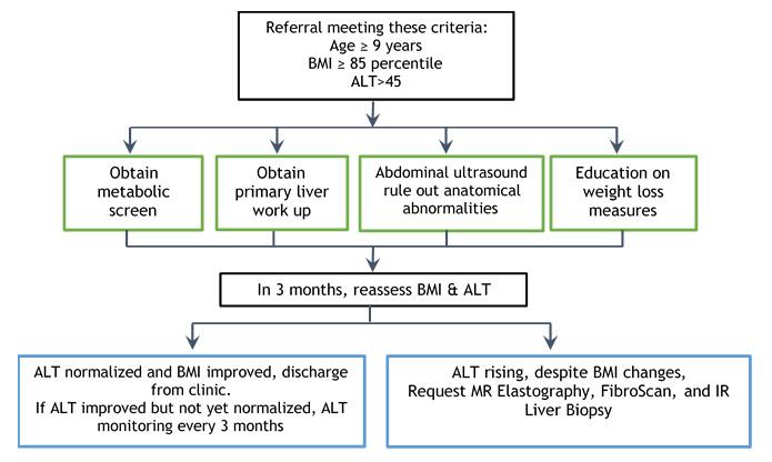 A chart image with the Children's Hospital Los Angeles Fatty Liver Disease Clinic algorithm