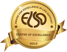 Gold badge from the Extracorporeal Life Support Organization. The badge says Award for Excellence in Life Support - ELSO - Center of Excellence - Gold 