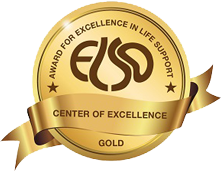 Gold badge from the Extracorporeal Life Support Organization. The badge says Award for Excellence in Life Support - ELSO - Center of Excellence - Gold