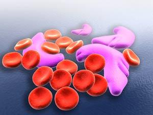 Red Blood Cells