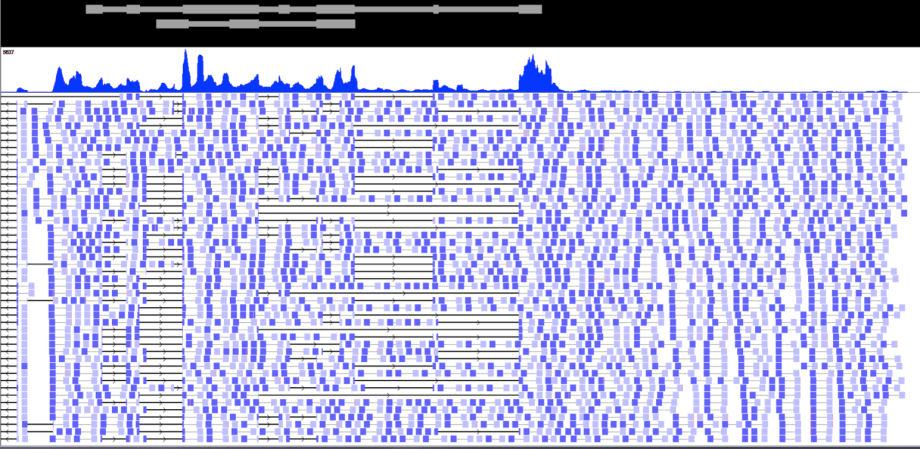 Triche.AK paired end RNA Seq.png