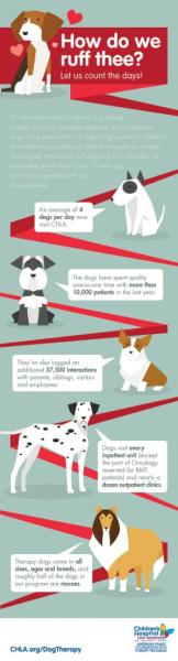 chla-therapy-dog-infographic-107.jpg
