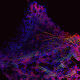 152396607647_0.gif 152396607647_0.gif