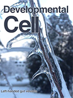 Developmental Cell cover