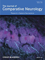 Journal of Comparative Neurology cover