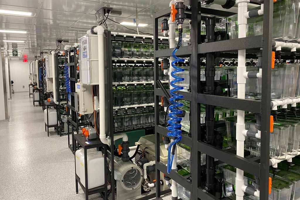Amatruda-Lab-5.jpg