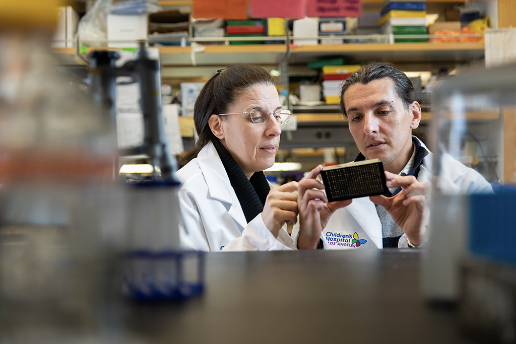 Laura Perin, PhD, and Stefano Da Sacco, PhD, wearing white lab coats examine a specimen in their laboratory