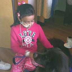 CHLA-Sarah-Wong-07-255x255.jpg 11-year-old Sarah Wong pets a CHLA therapy dog