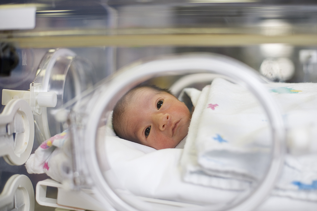 Newborn baby rests in hospital NICU incubator