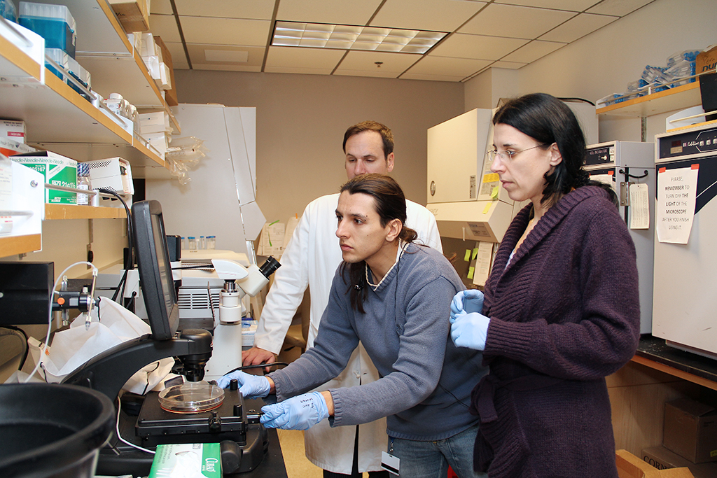 Researchers examine specimen using a microscope