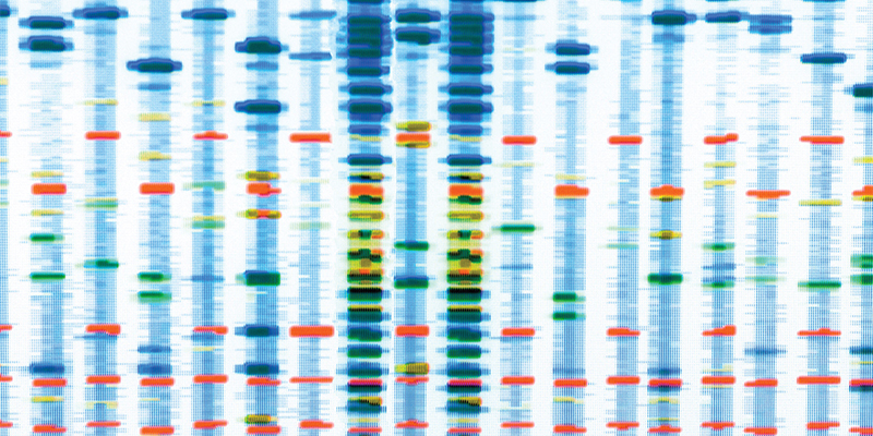 DNA sequence image