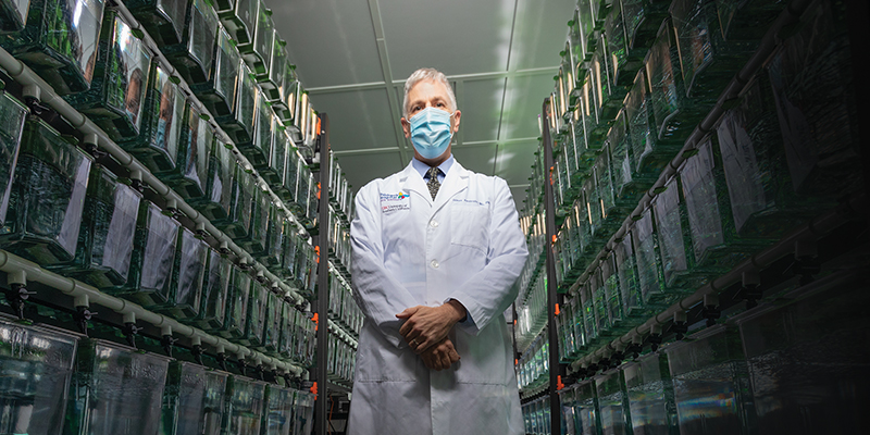 CHLA Researcher James Amatruda, MD, PhD standing in an aisle of zebrafish