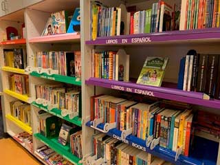 book-shelves1.jpg