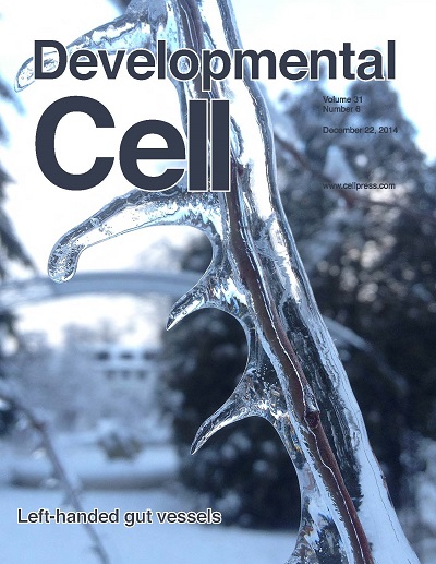 mahadevan Developmental Cell  cover small - web.jpg