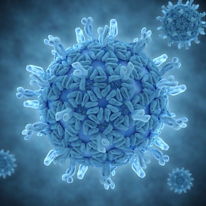rotavirus image.jpg